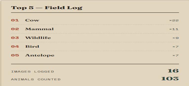 Wildlife Explorer — Detection Result